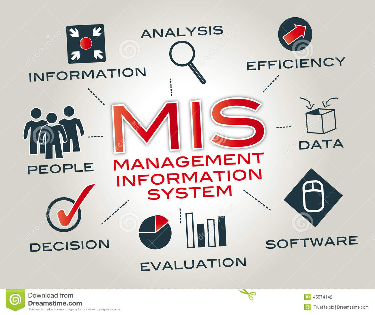 Management Information System